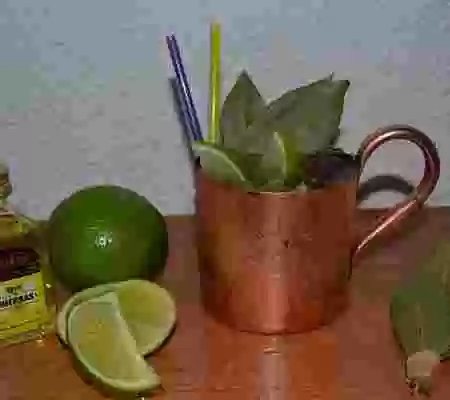 THE PANIZO MULE