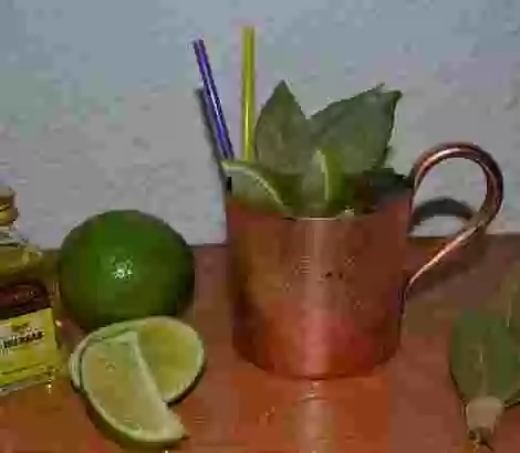 THE PANIZO MULE