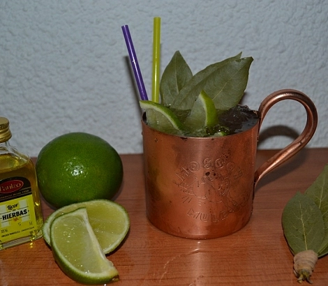 THE PANIZO MULE