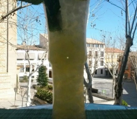 PANIZO MINT FIZZ ROYALE